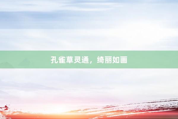 孔雀草灵通，绮丽如画
