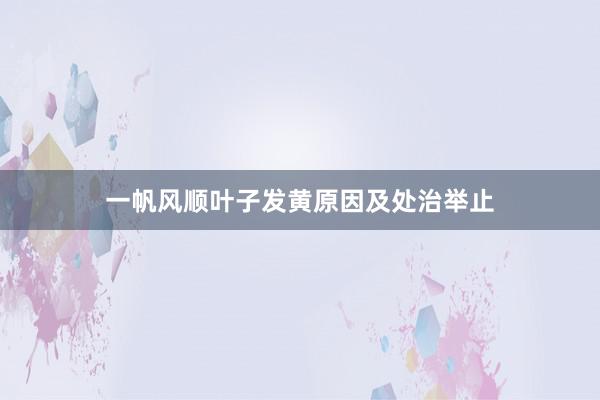 一帆风顺叶子发黄原因及处治举止